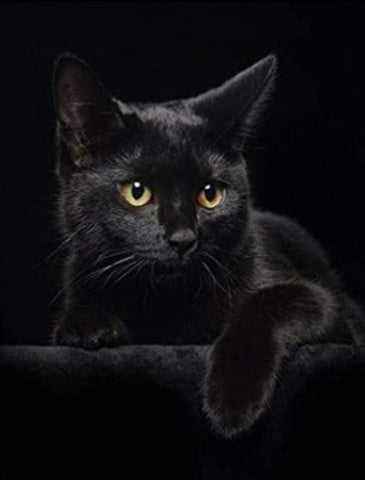 Decke flauschig mit Katze schwarz