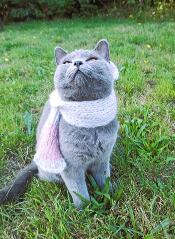 Grauer Schal für meine GKH Katze in silber blau