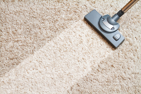 Havant Carpet Cleaning