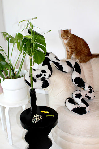 Sophie Collé home styling with home decor and accessories from Friends NYC. Featuring her beloved cat!
