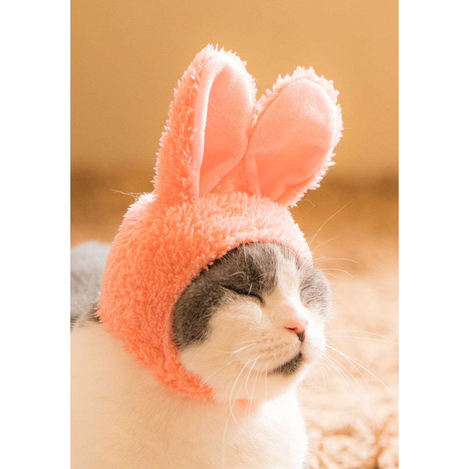 Fur Ear Rabbit Hat