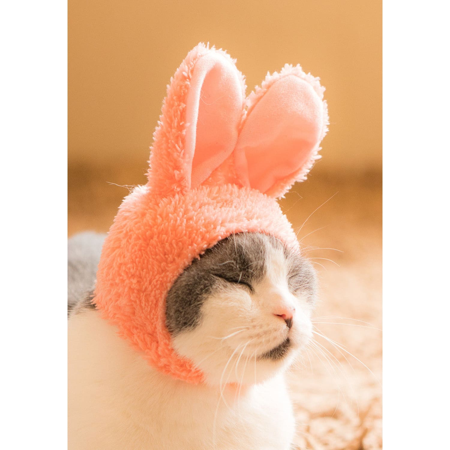 Pink Bunny Cat Hat Bunny Hat Hat for Cats and Small Dogs 