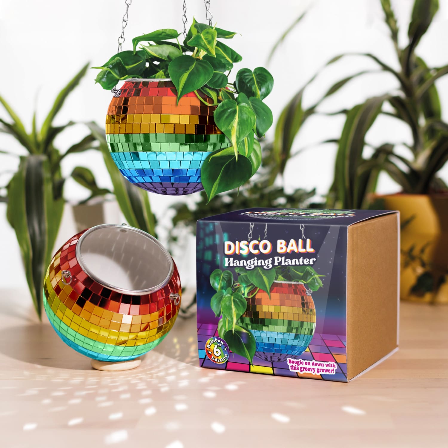 Rainbow Disco Ball Indoor Plant Hanger Pot