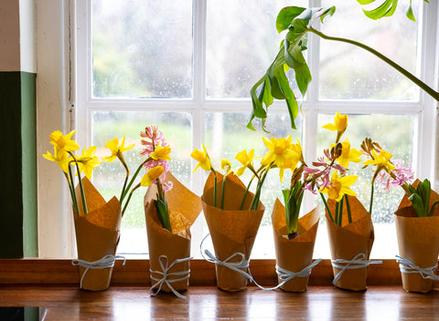 Pots of spring flowers