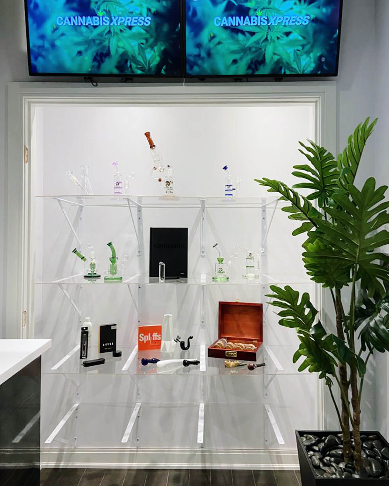 Cannabis Xpress Store Interior