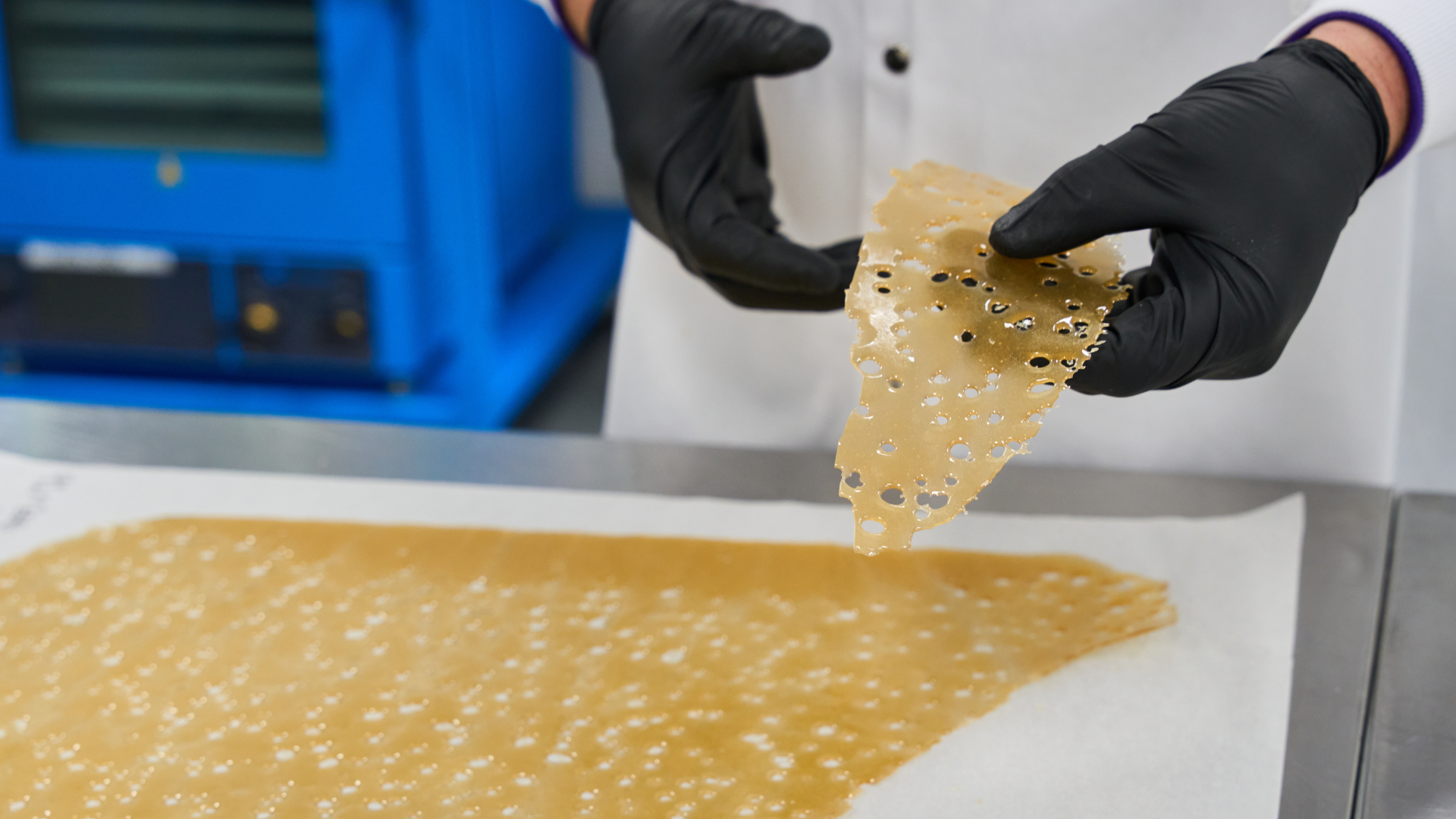 large sheet of shatter cannabis product