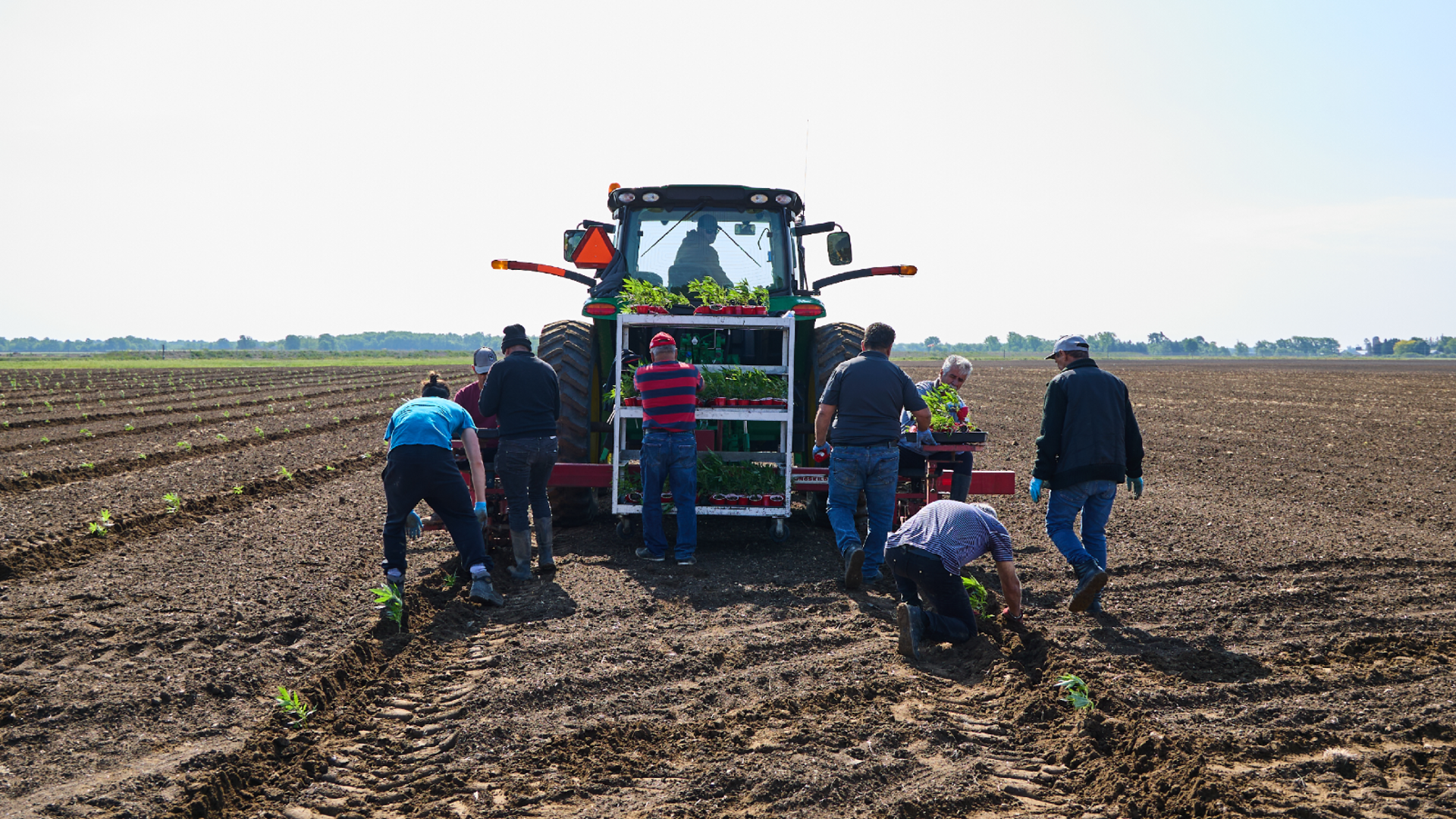 countryside planting season