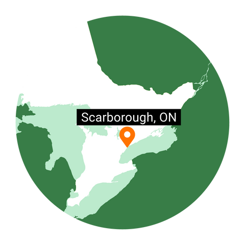 Scarborough map