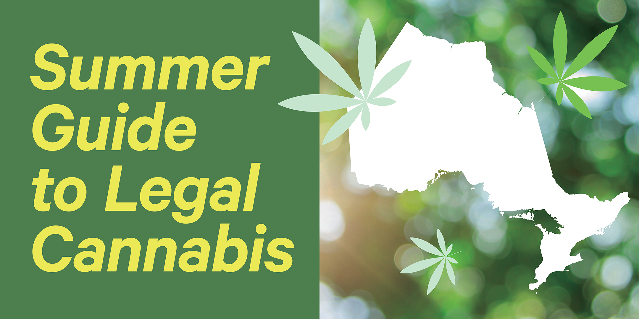 Summer Guide to Legal Guide Cannabis