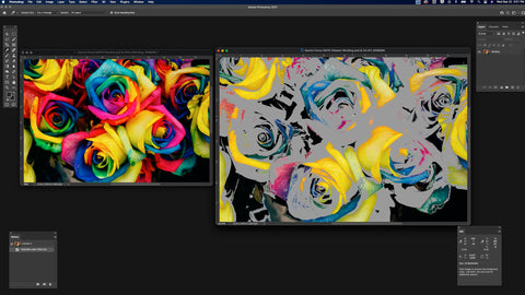 Vivid RGB roses on the left, with greyed-out roses on the right in Adobe Photoshop