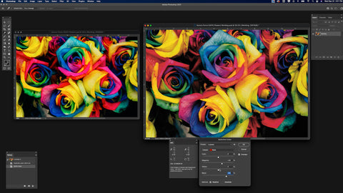 Two images of multi-colored roses, the image on the right is being corrected for red values