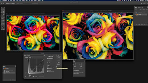 Two images of brightly colored roses with a pop-up window indicating the shadow curves at the bottom left