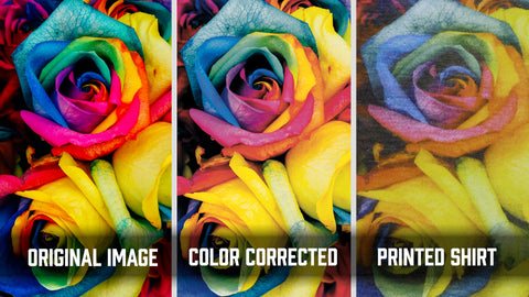 Vividly colored roses in RBG, CMYK, and on a shirt