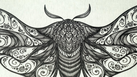 A detailed print of a moth with black puff ink