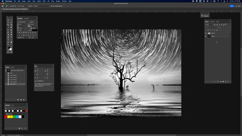 A photo of a tree in water with the Photoshop windows around it