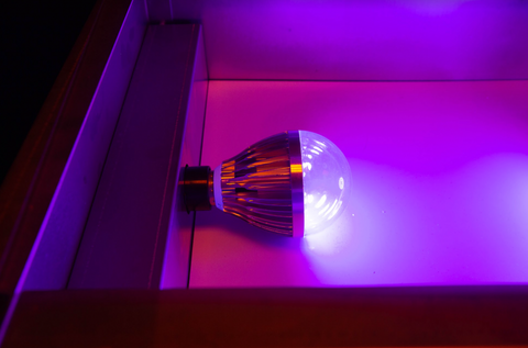 A DIY light bulb in an exposure unit