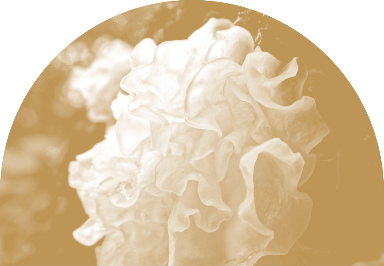 The Scoop on Tremella