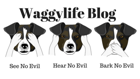 waggy life blog 