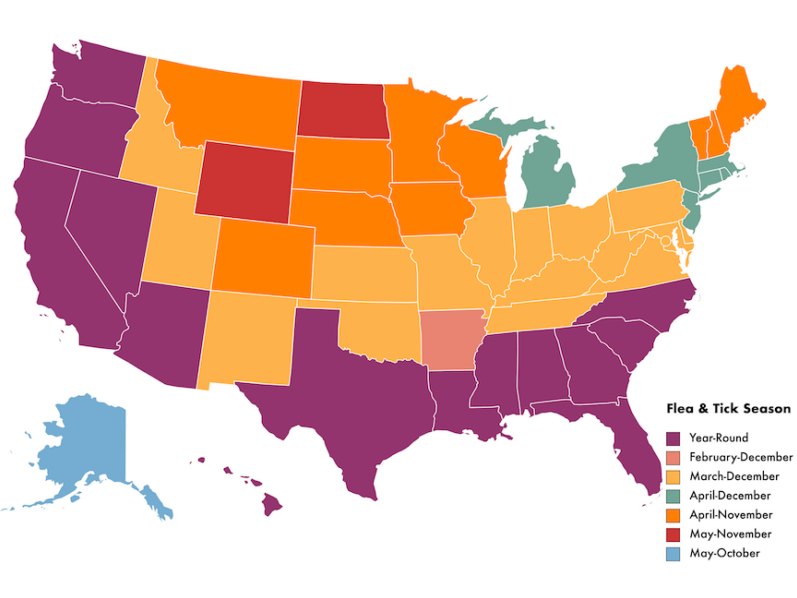 map of flea and tick season by month and state