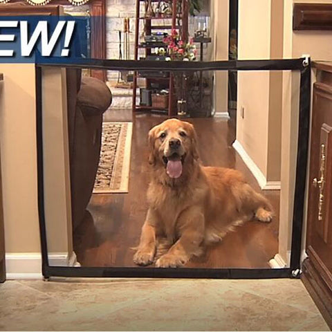 travel barriers for dogs