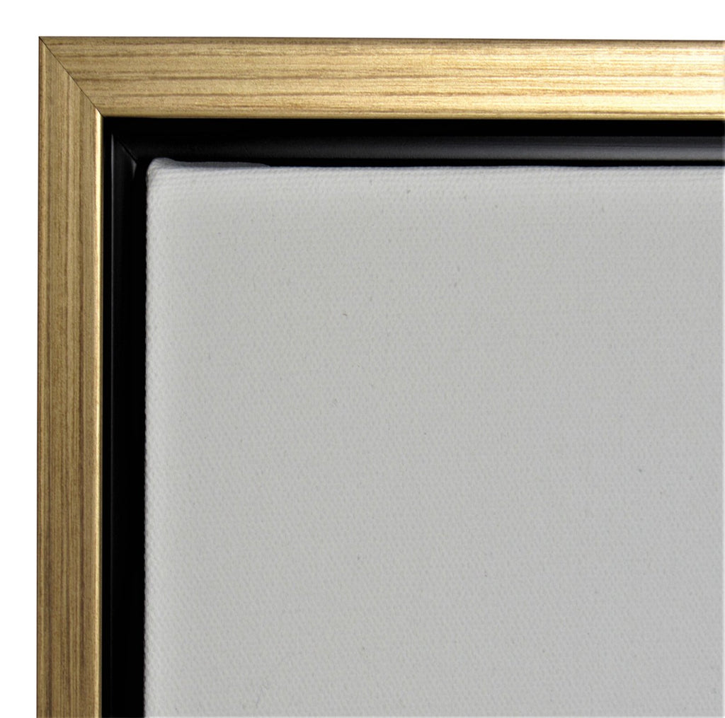 Frame and Canvas Value Set Canvas Frame and Stretched Canvas Bundle 4-Piece  Set - 2 Frames & 2 Blank Canvases - [Antique Gold w/ Antique Gold Sides 