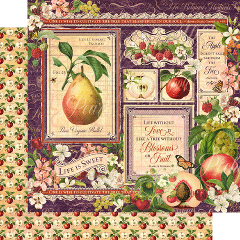 Graphic 45 - Fruit & Flora 8x8 Pad