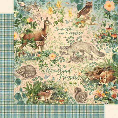 Graphic 45 - Woodland Friends 12x12 Paper - Single Sheets