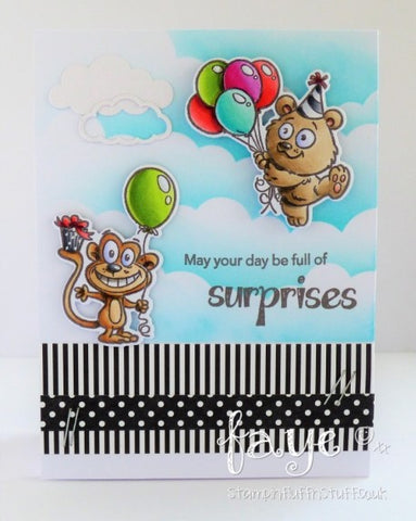 Your Next Stamp - YNS - Silly Fun Birthday Stamps and Dies