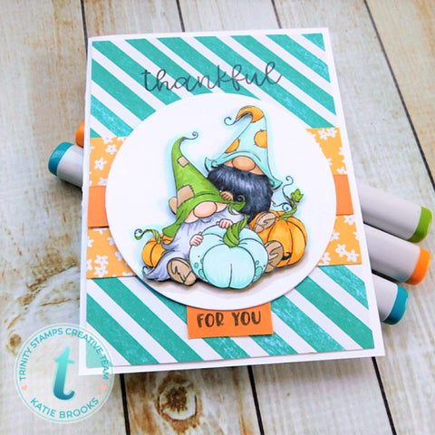 Trinity Stamps - 3x4 Thankful For You Stamp Set