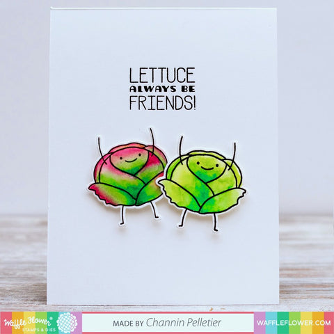 Waffle Flower - Lettuce Stamp and Die Sets