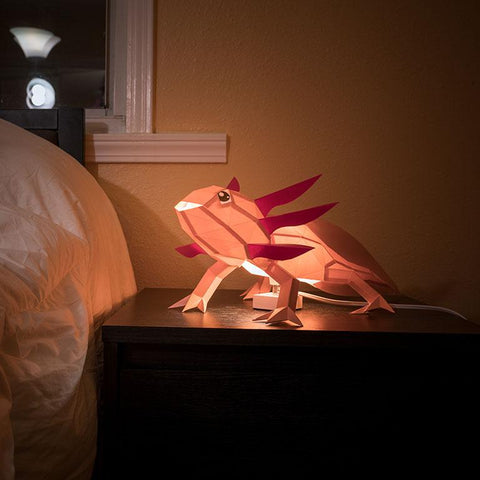 Papercraft World - 3D Papercraft Axolotl 3D Paper Model, Lamp (Ages 6+)