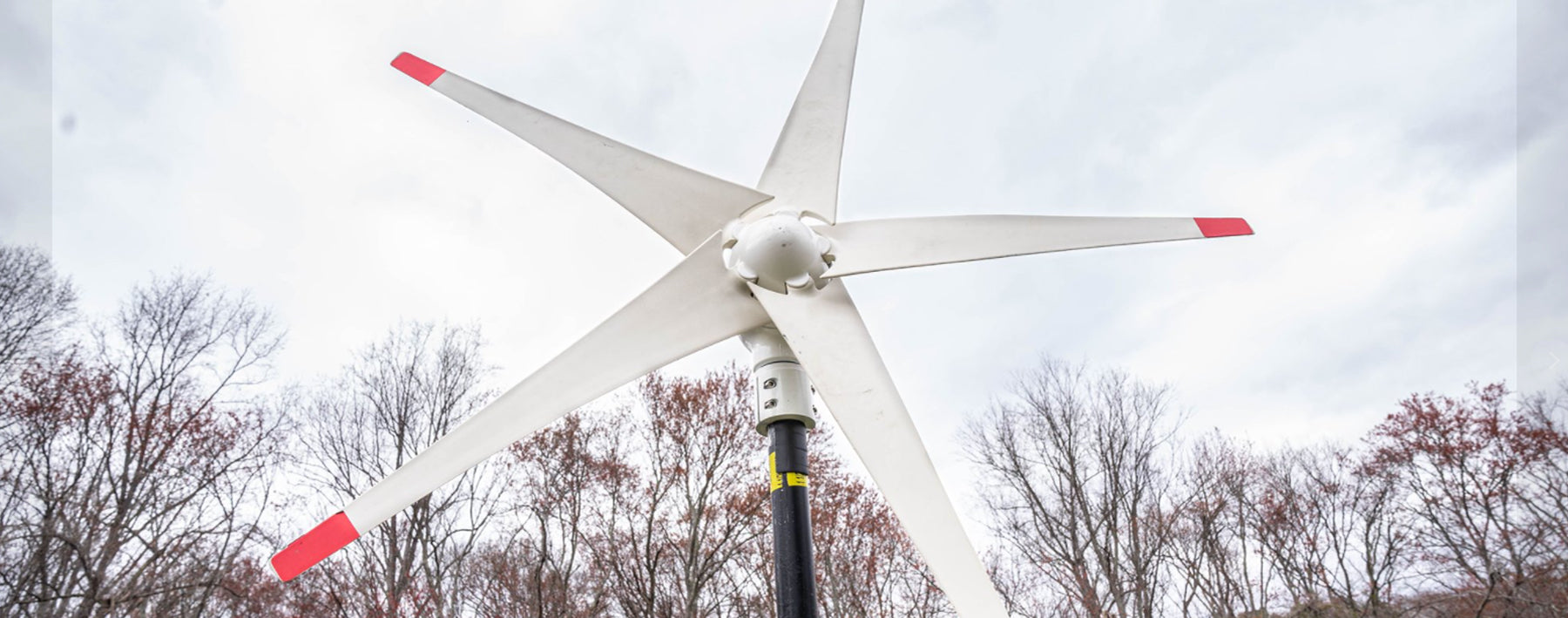 Nature's Generator Wind Turbine