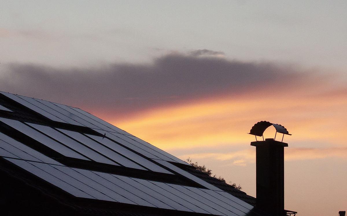 Nature's Generator Solar Panel