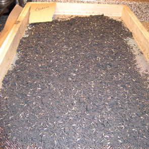 Black Powder Coated Rice Hulls
