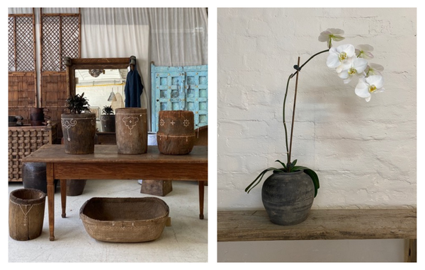 Water tiger provides timeless interior design ideas. One image showcases timeless home decor on a vintage table and the second image of a white orchid potted in a vintage, timeless pot. 