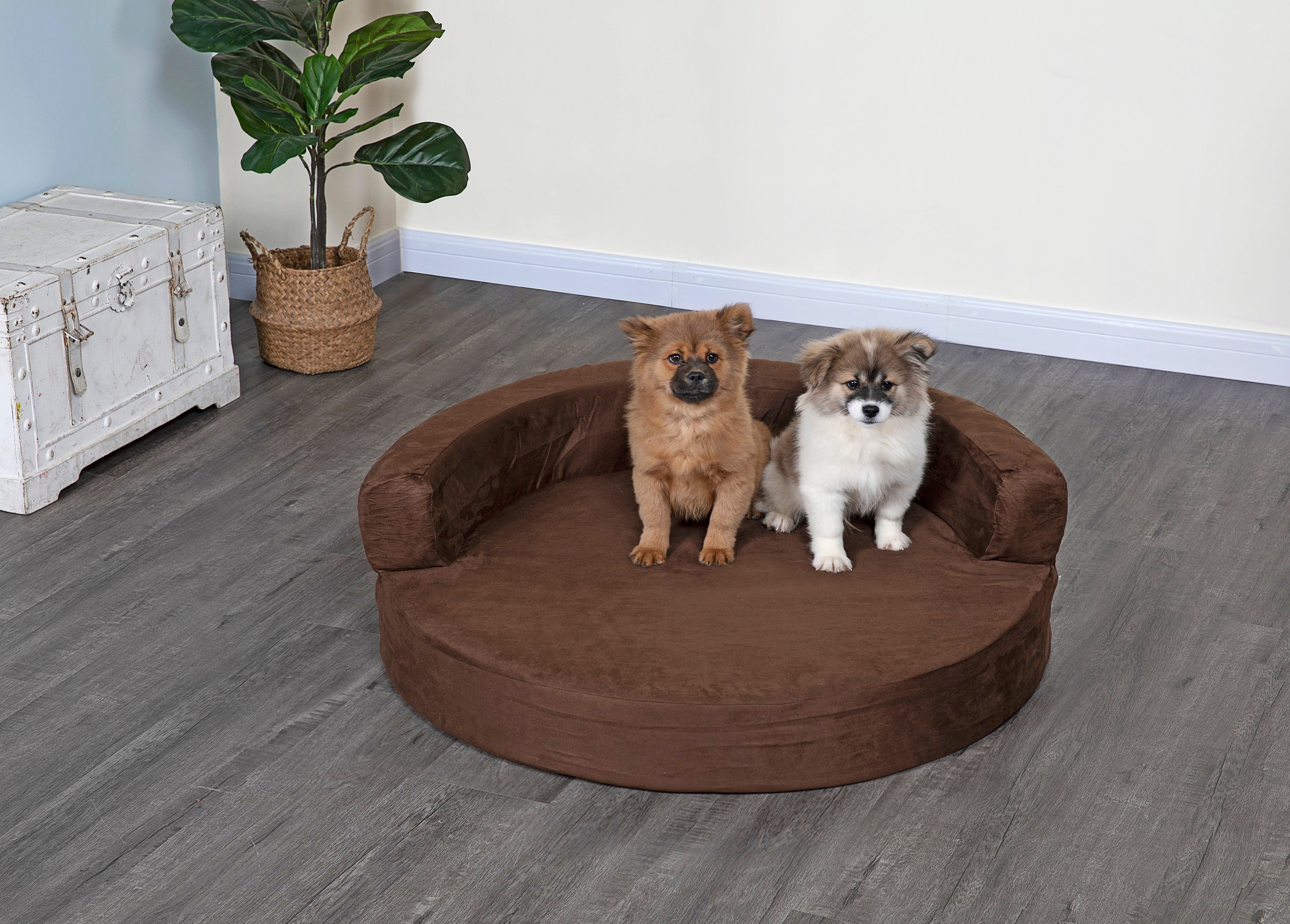 Go Pet Club Round Memory Foam Pet Dog Bed With Bolster And Removable W