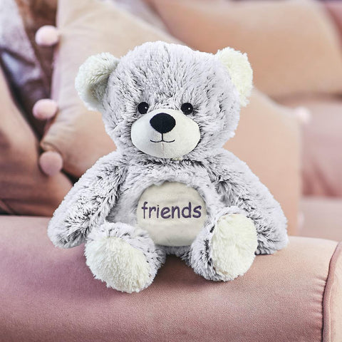 Warmies Large 33cm - Plush Animals filled with Flaxseed and French Lavender - Friends Bear