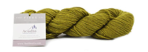 Skein of Acadia yarn from The Fibre Co. in a shade of green.