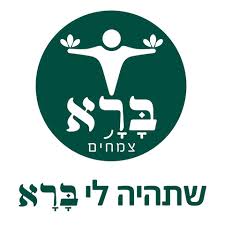 ברא