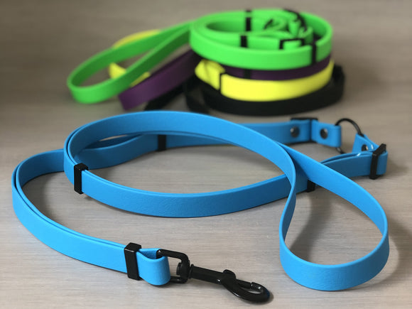 colorful dog collars and leashes