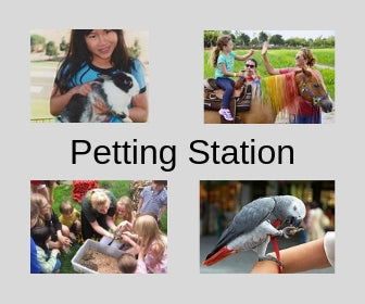 Petting Station