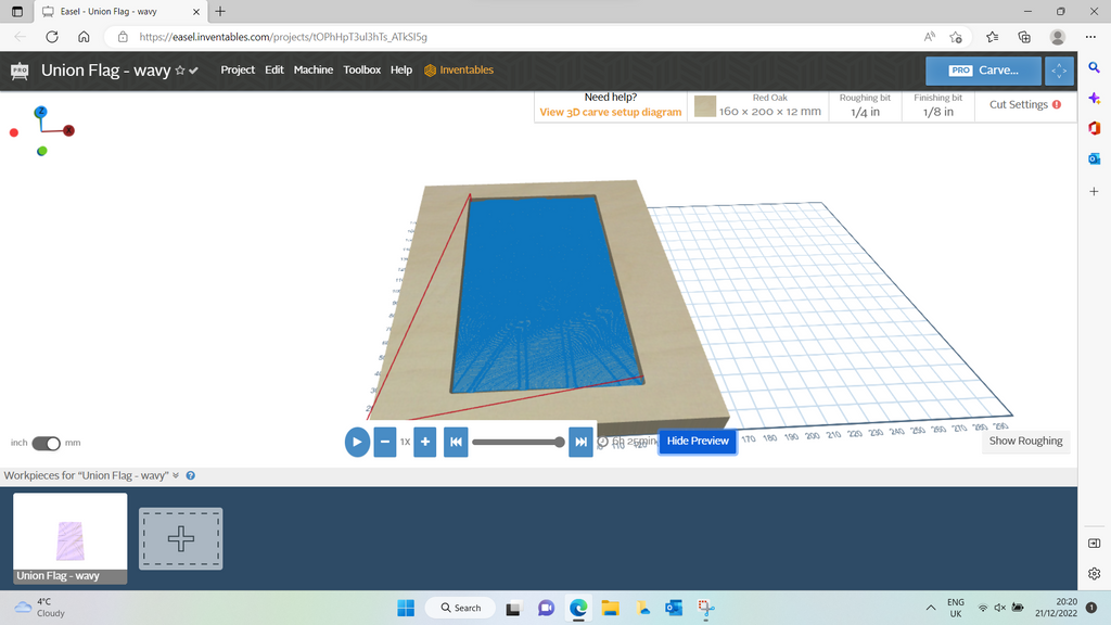 View-of-model-boundary-relief-in-easel-3D