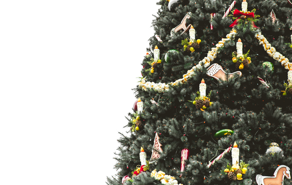 Dreaming of a Green Christmas? Top Tips for a Sustainable Christmas - Christmas Tree