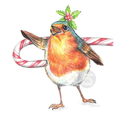 Crayon drawing of a  Christmas robin singing her heart out