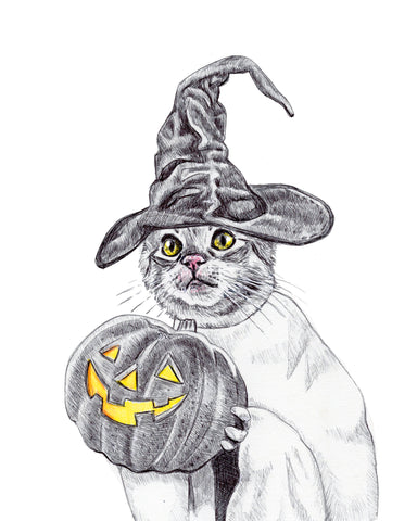 Ballpoint pen drawing of a cat wearing a witches costume while holding a jack-o-lantern