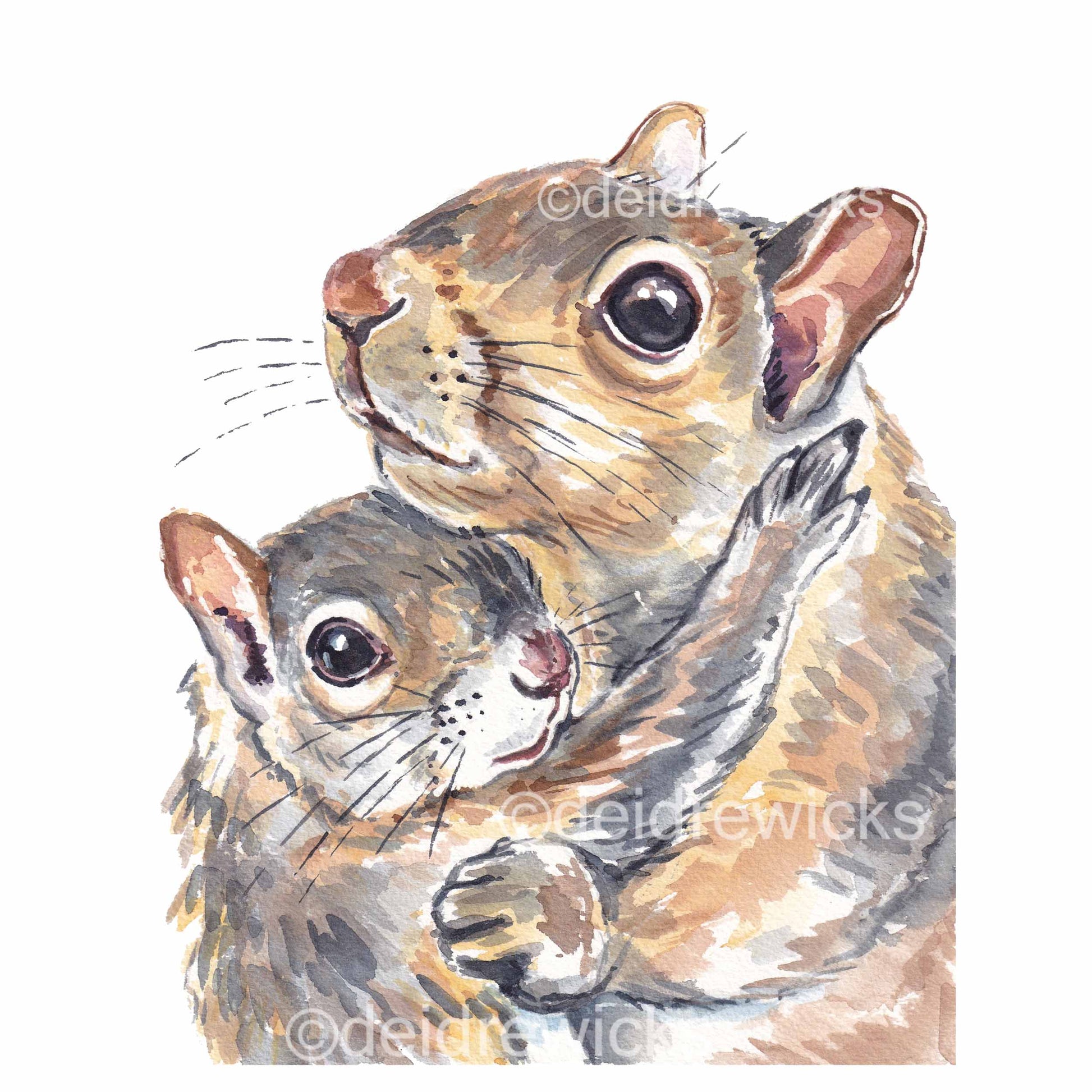 squirrel hug