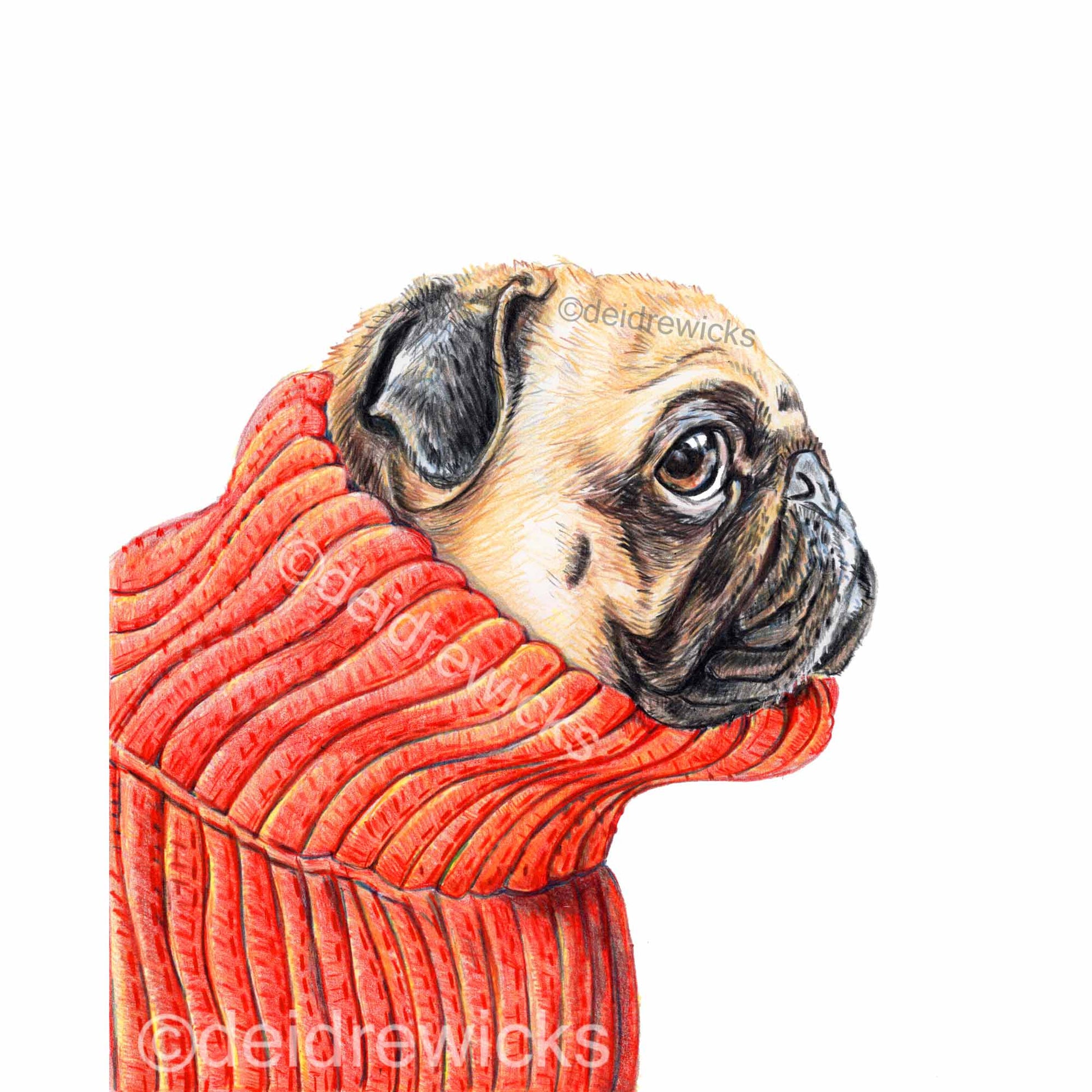 Turtle Pug Print - Coloured Drawing a Dog Wearing a Turtle Neck by Deidre Wicks