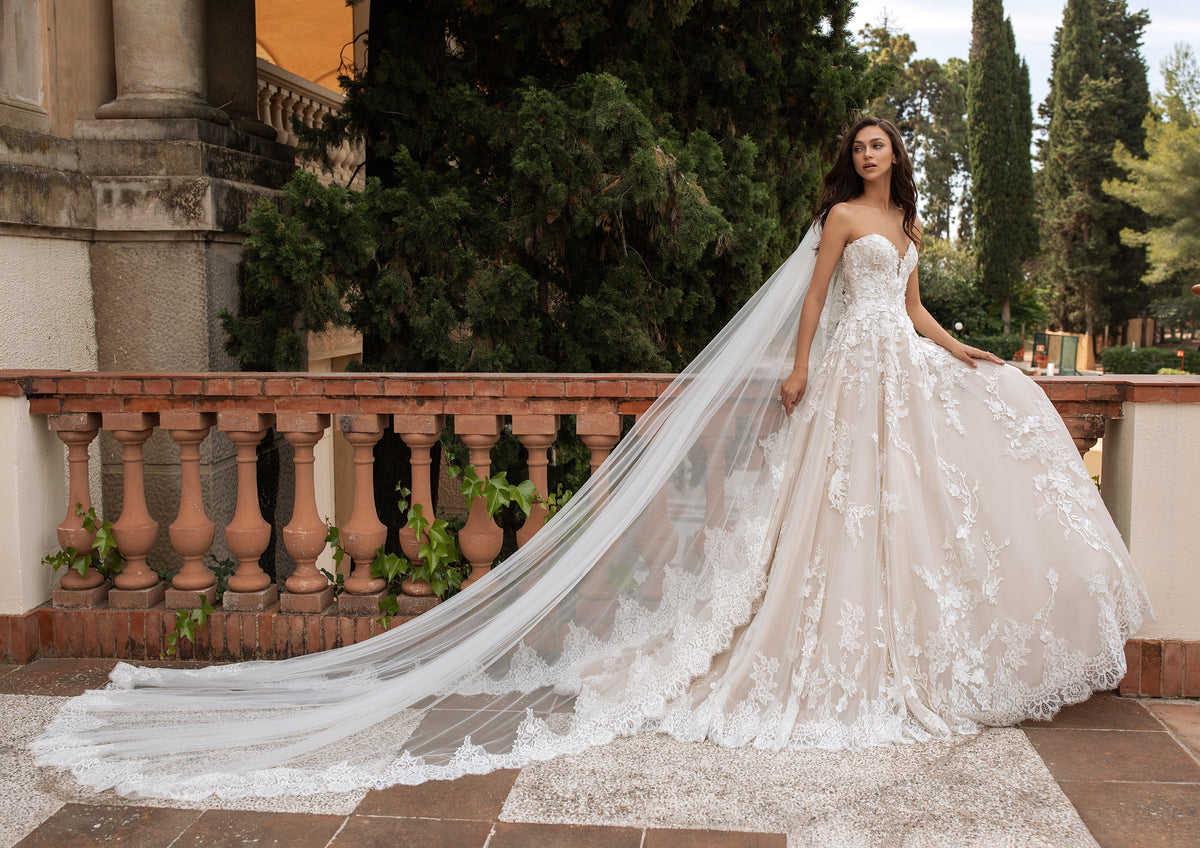 美品】PRONOVIAS ELICRA Aラインドレス レース-