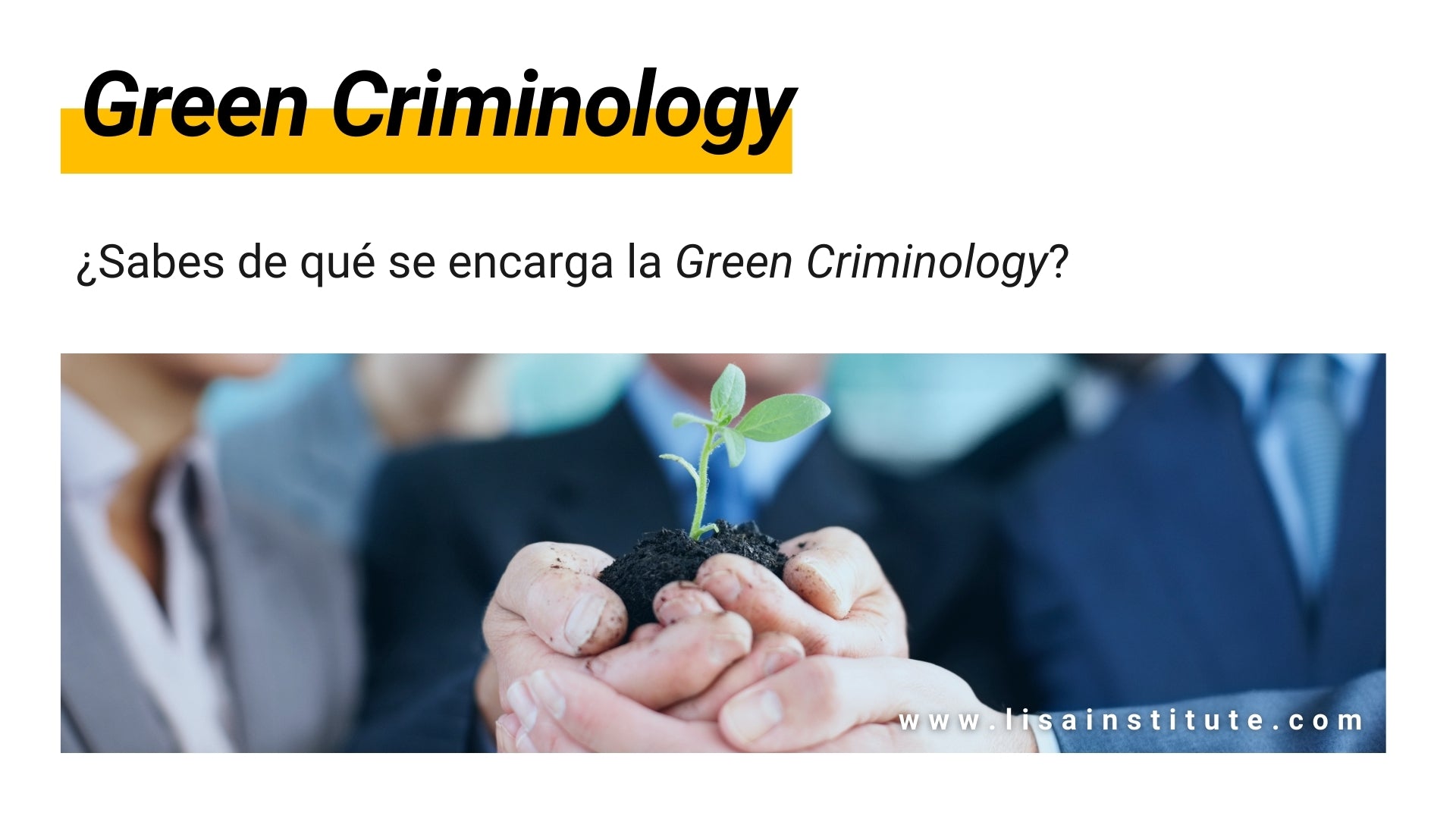 ¿Sabes de qué se encarga la Green Criminology - LISA Institute