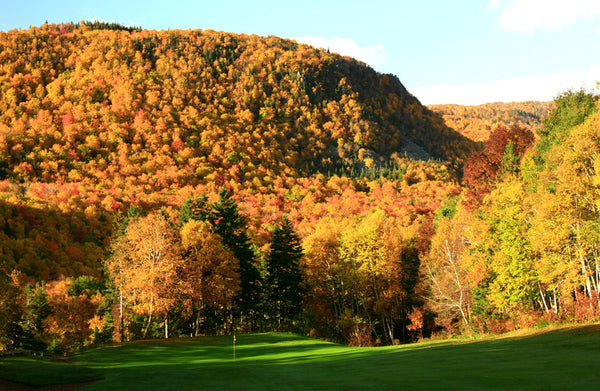 golf course in the fall